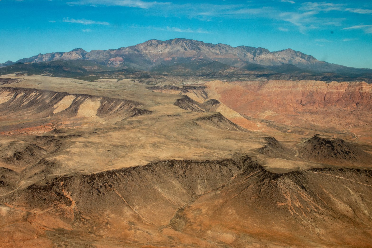 An aerial view of the Red Cliffs National Conservation Area in front of the Pine Valley Mountains